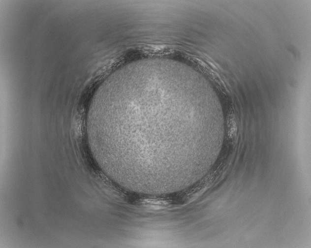 X0000116000515200912031512