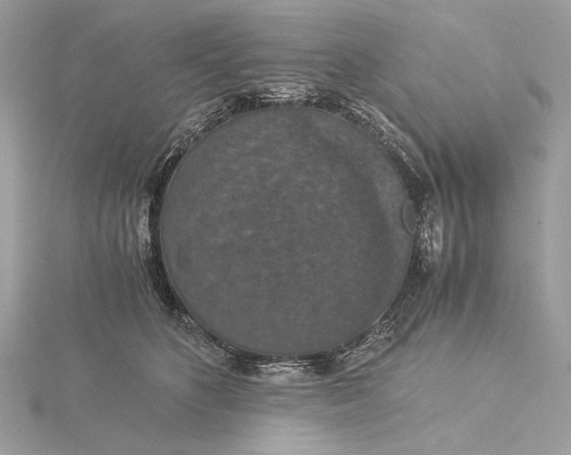 X0000116000516200912031512