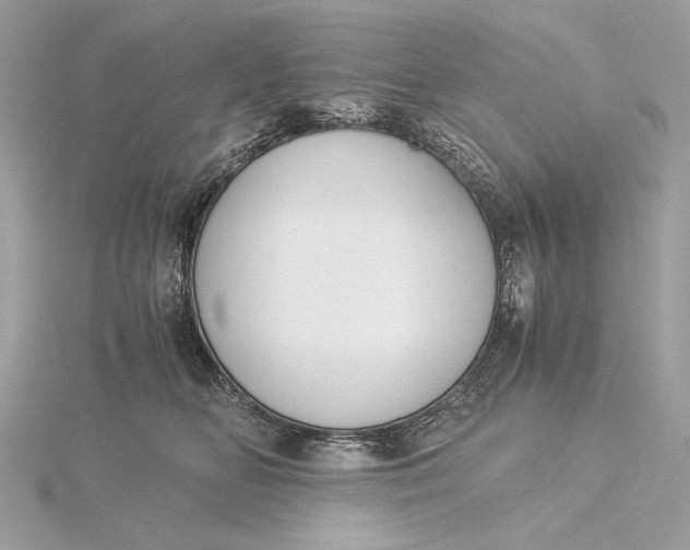 X0000116000518200912031512