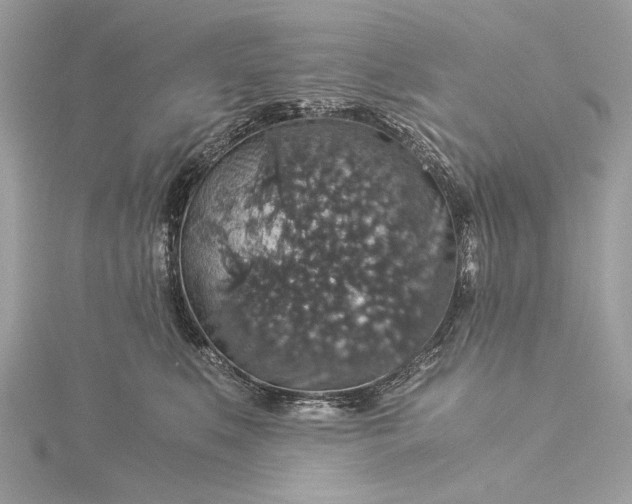 X0000116000519200912031512