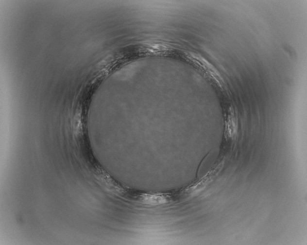 X0000116000520200912031512