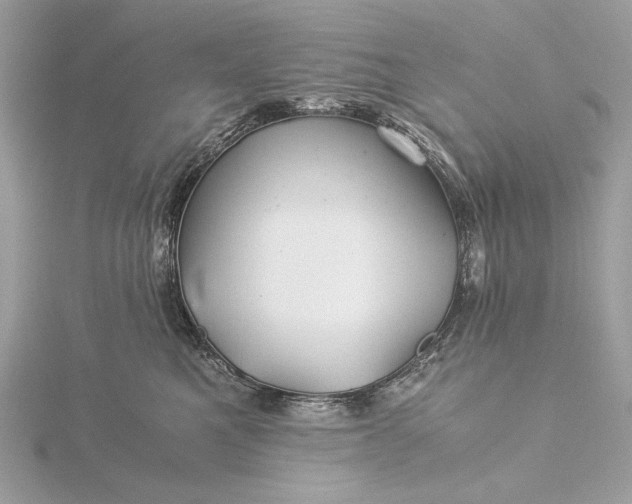 X0000116000521200912031512