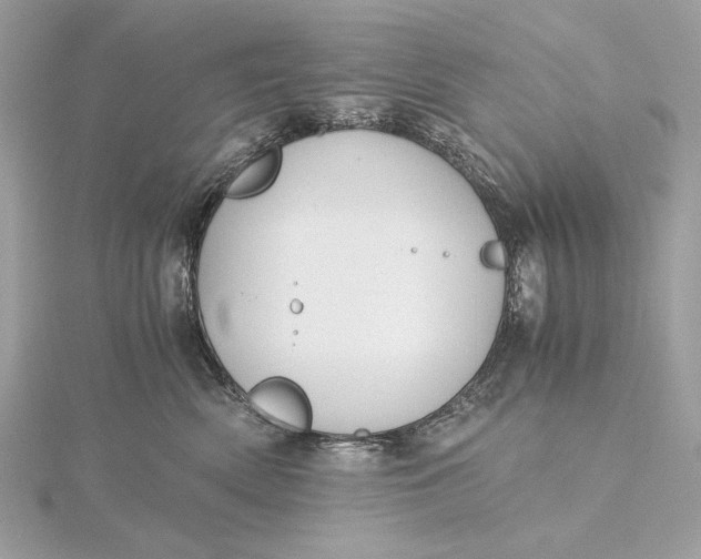 X0000116000522200912031512