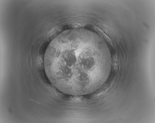 X0000116000523200912031511