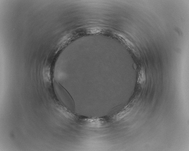 X0000116000524200912031511