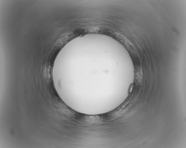 X0000116000525200912031511