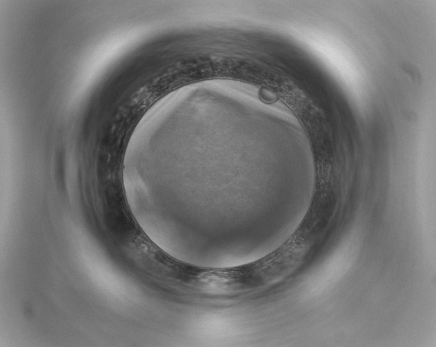 X0000116000526200912031511