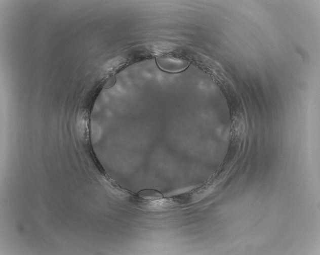 X0000116000527200912031511