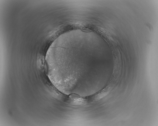 X0000116000528200912031511