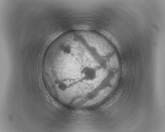 X0000116000529200912031511