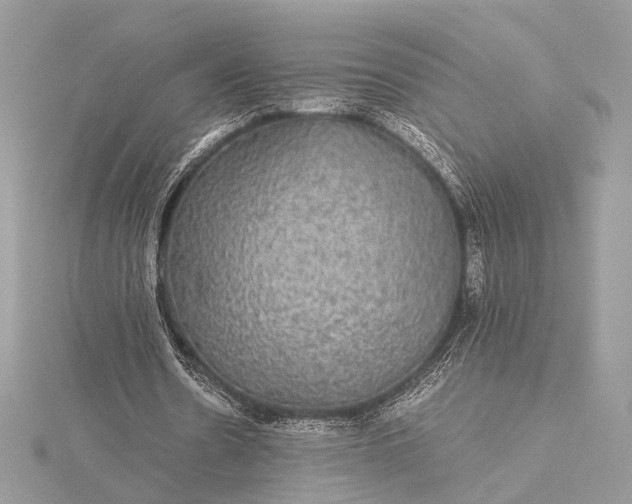 X0000116000530200912031511