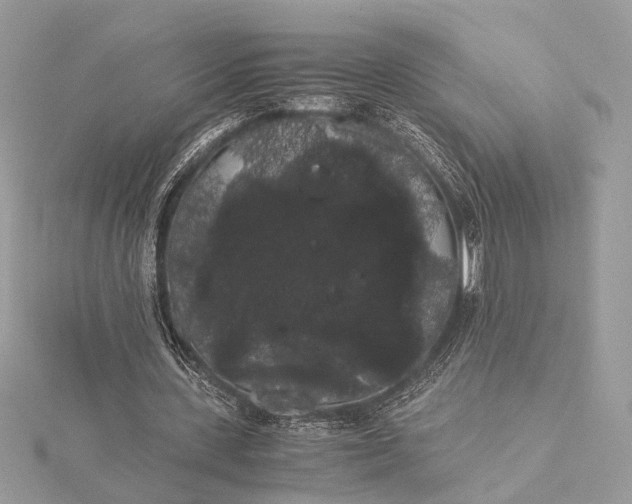 X0000116000531200912031511