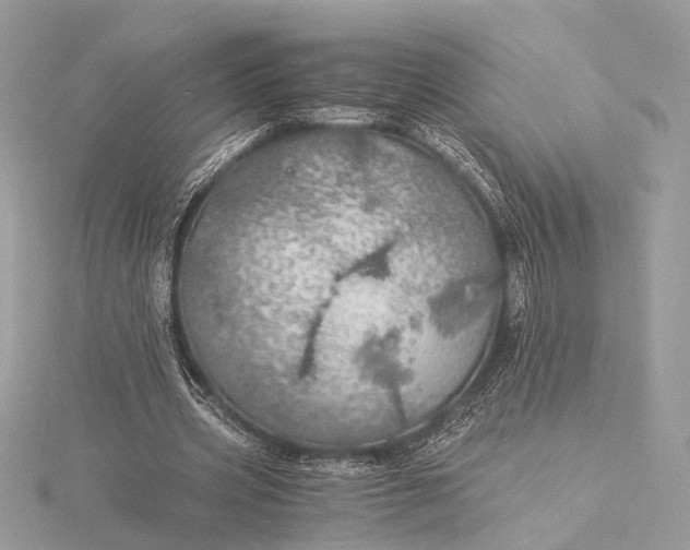 X0000116000533200912031511