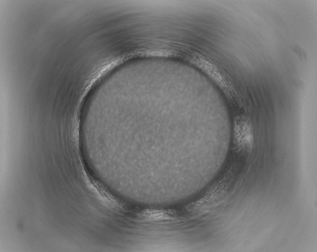 X0000116000534200912031511