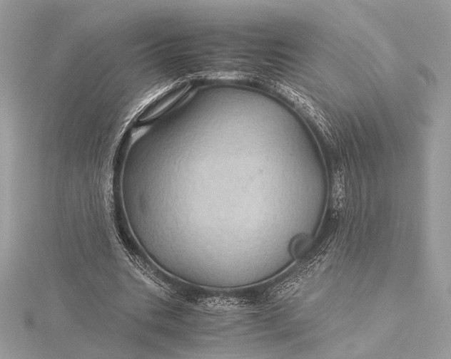 X0000116000535200912031511