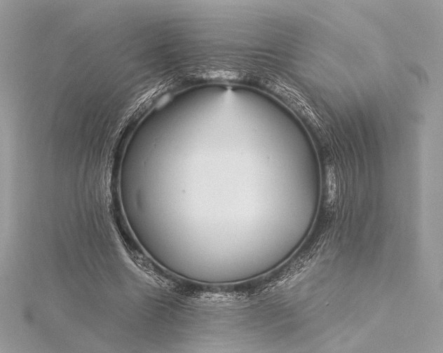 X0000116000538200912031511