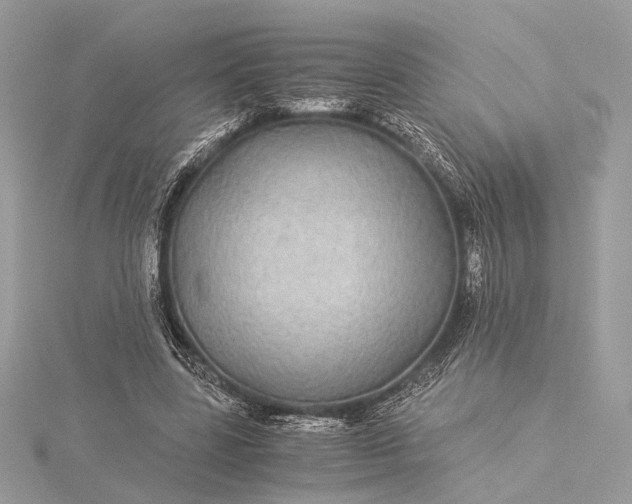 X0000116000539200912031511