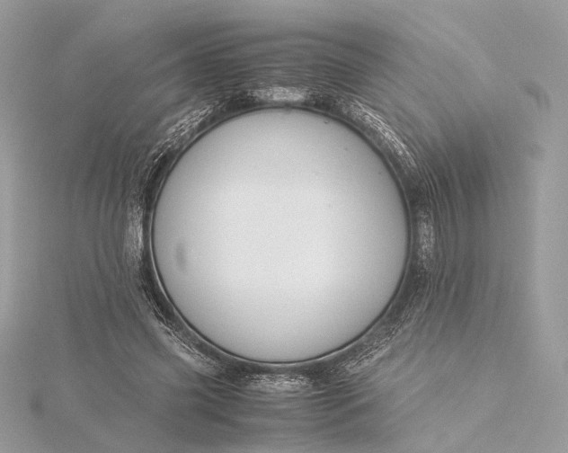 X0000116000541200912031511