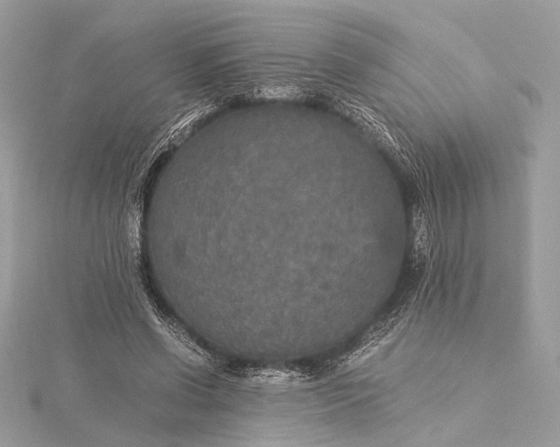 X0000116000542200912031511