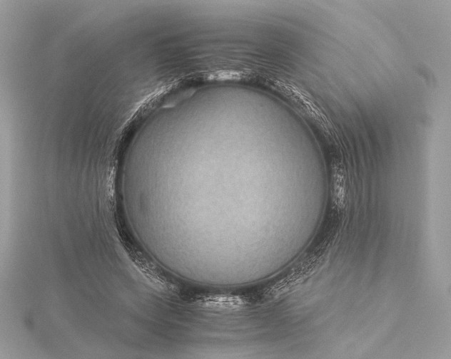 X0000116000543200912031511