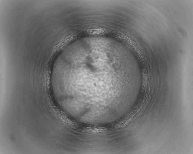 X0000116000545200912031511