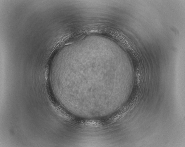 X0000116000546200912031511