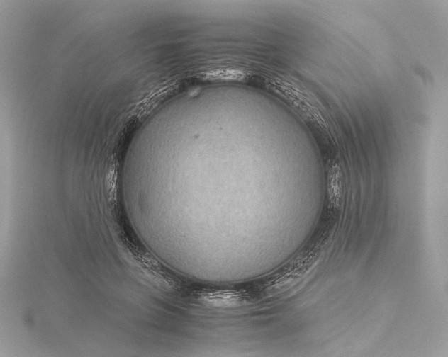 X0000116000551200912031511