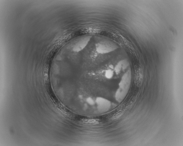 X0000116000553200912031511