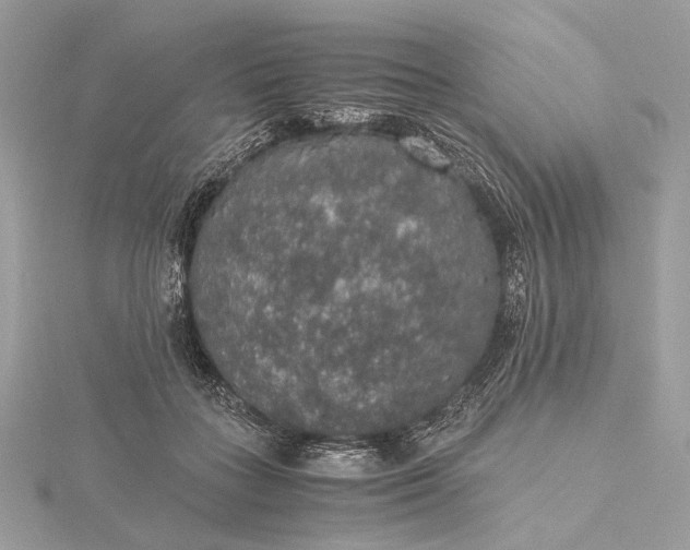 X0000116000555200912031511