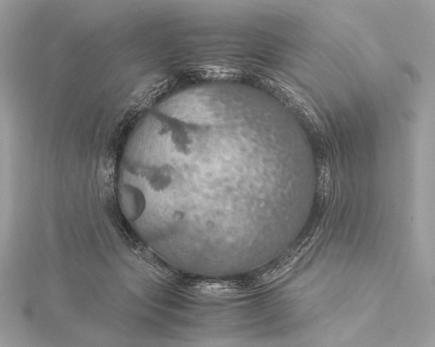 X0000116000557200912031511