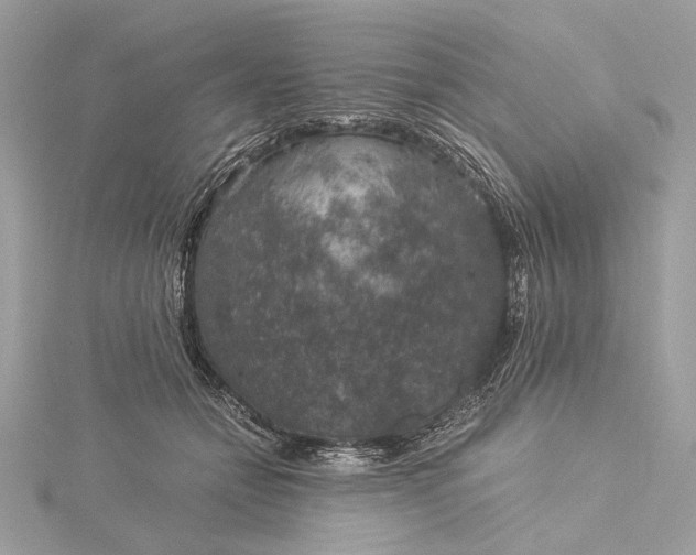 X0000116000558200912031511