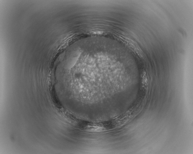 X0000116000559200912031511