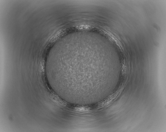 X0000116000561200912031511