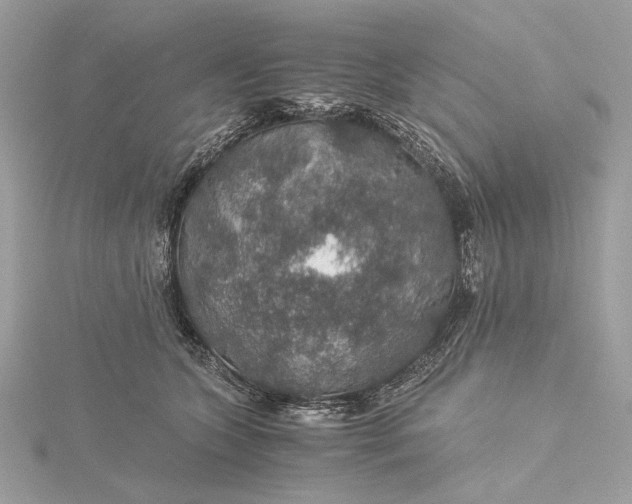 X0000116000563200912031511