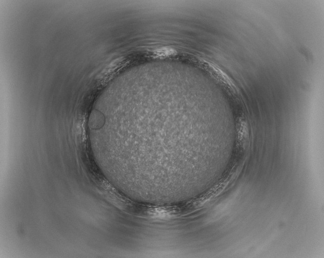 X0000116000565200912031511