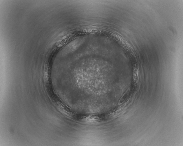 X0000116000566200912031511