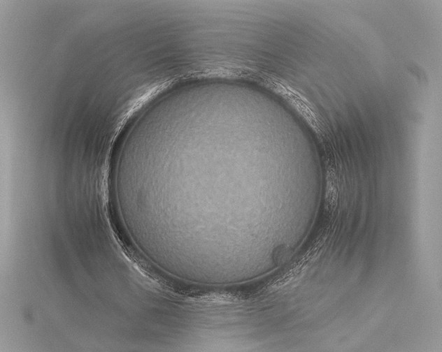 X0000116000578200912031511