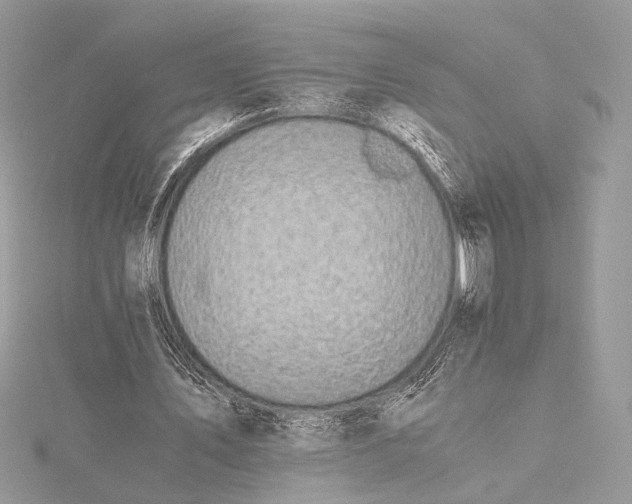 X0000116000579200912031511