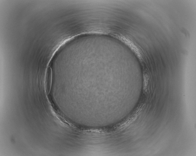 X0000116000580200912031511