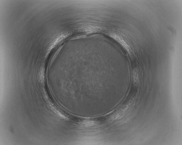 X0000116000581200912031511