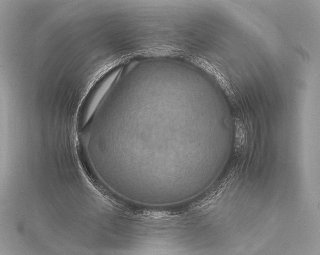 X0000116000582200912031511