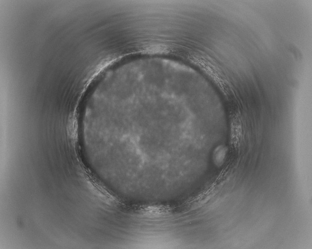 X0000116000584200912031511