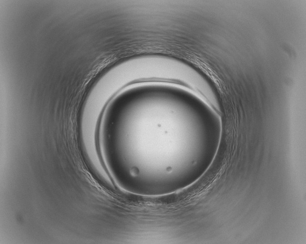 X0000116000585200912031511