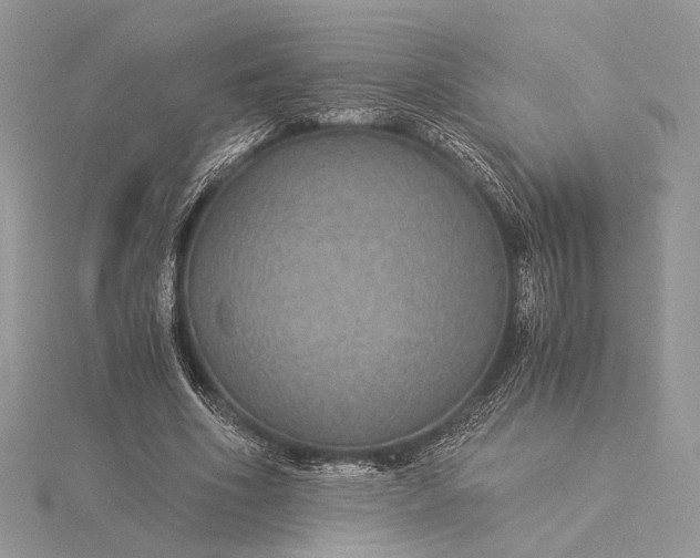 X0000116000586200912031511