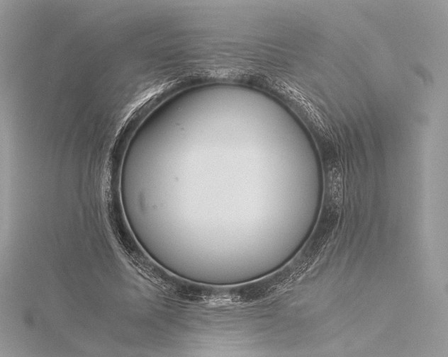 X0000116000587200912031511