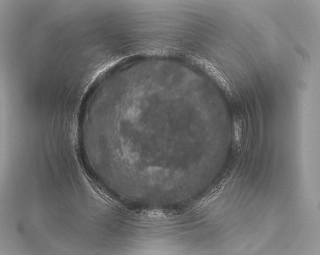 X0000116000588200912031511