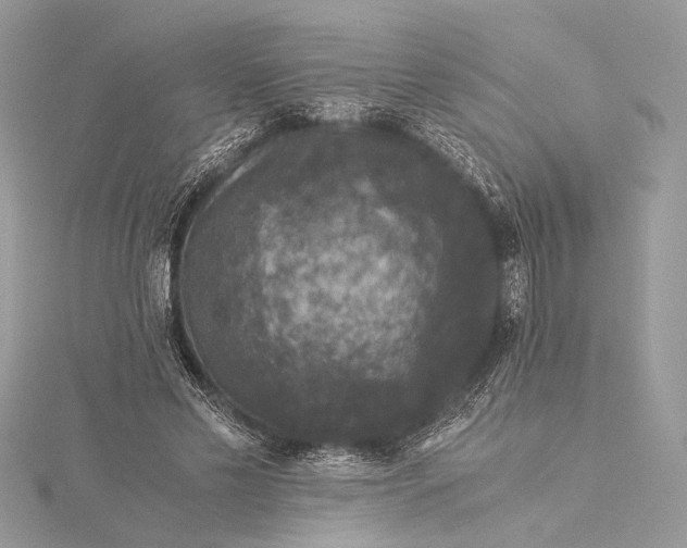 X0000116000589200912031511