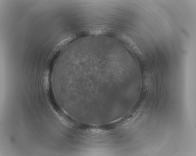 X0000116000590200912031511