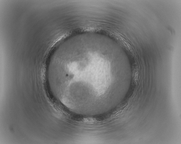 X0000116000591200912031511