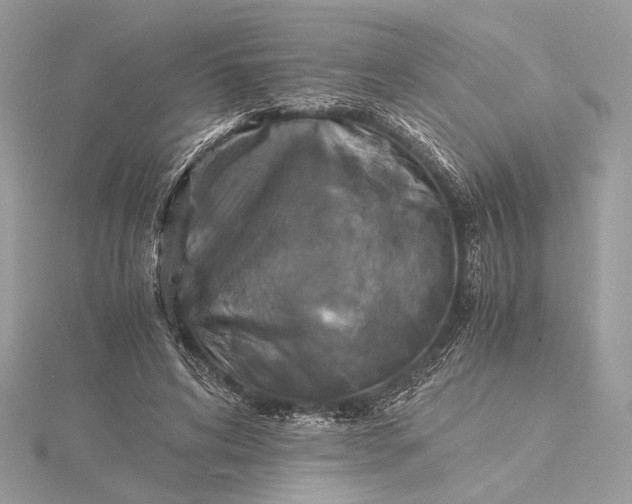 X0000116000592200912031511